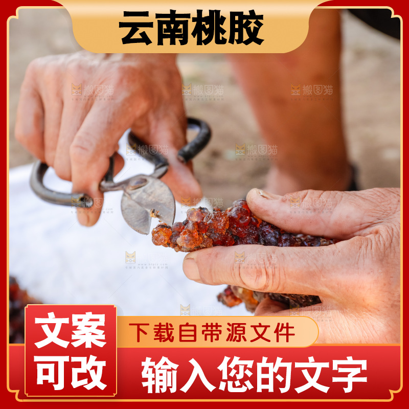 堆放着的现摘桃胶