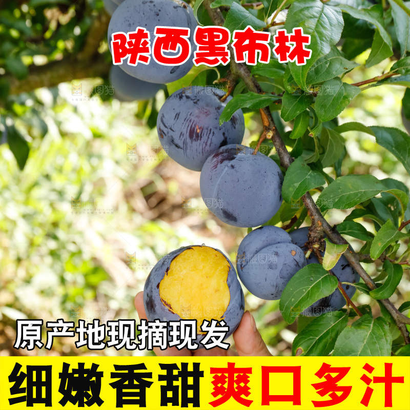 新鲜现摘黑布林