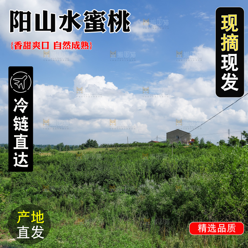 手里拿着现摘水蜜桃
