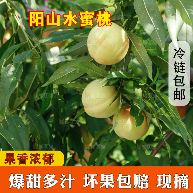 手里拿着现摘水蜜桃