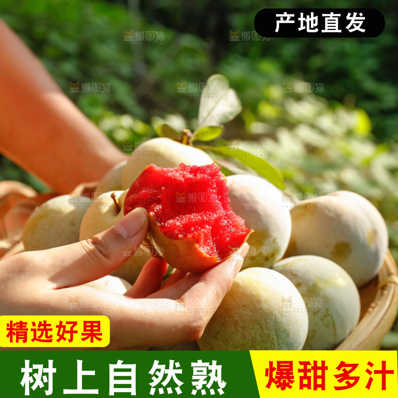 手里拿着红肉三华李