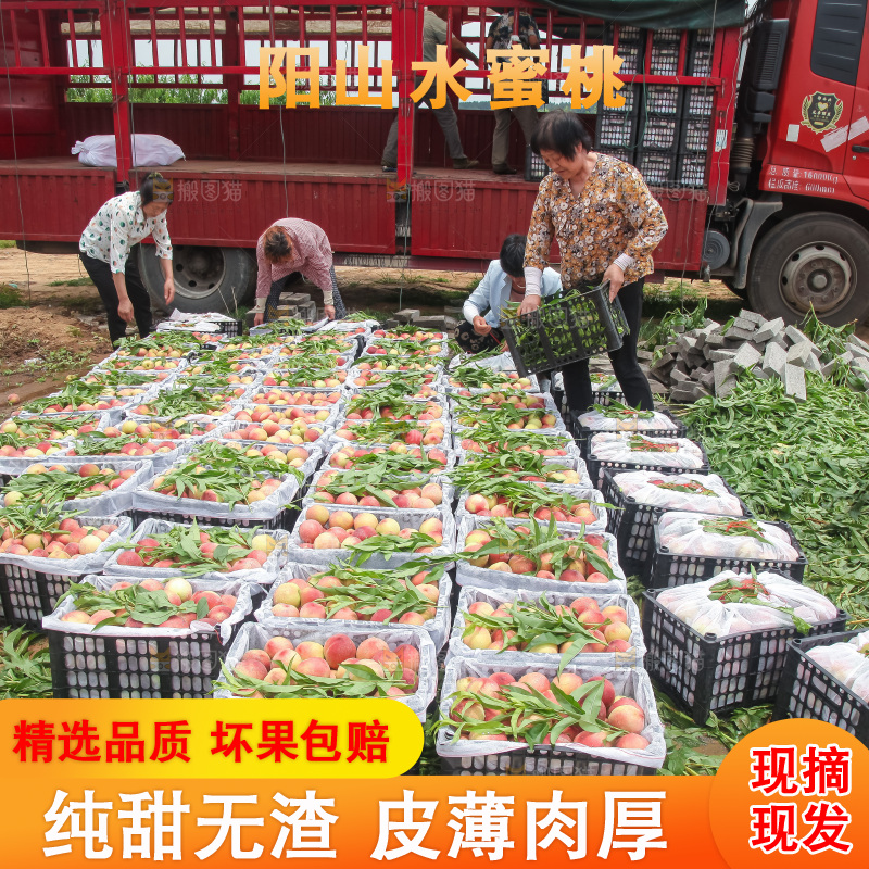 手里拿着现摘水蜜桃