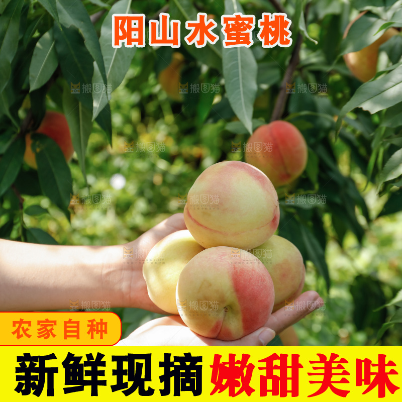 手里拿着现摘水蜜桃
