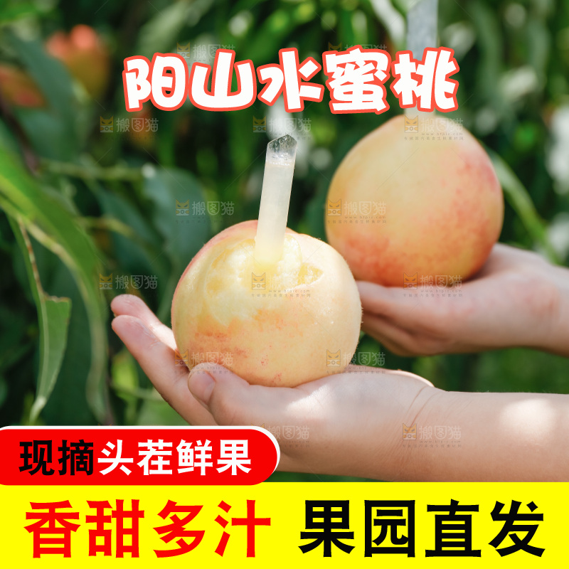 手里拿着现摘水蜜桃