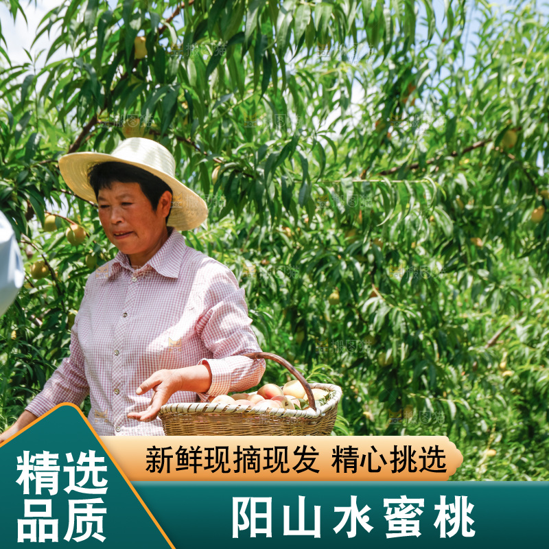手里拿着现摘水蜜桃