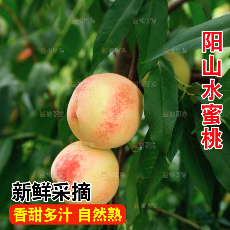 手里拿着现摘水蜜桃