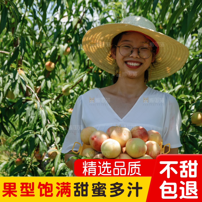 手里拿着现摘水蜜桃