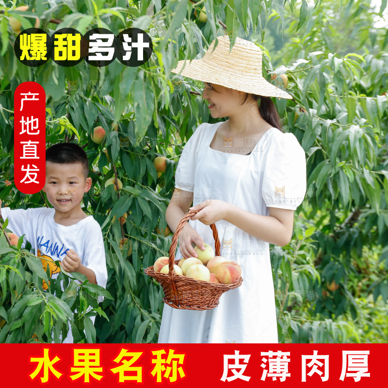 手里拿着现摘水蜜桃