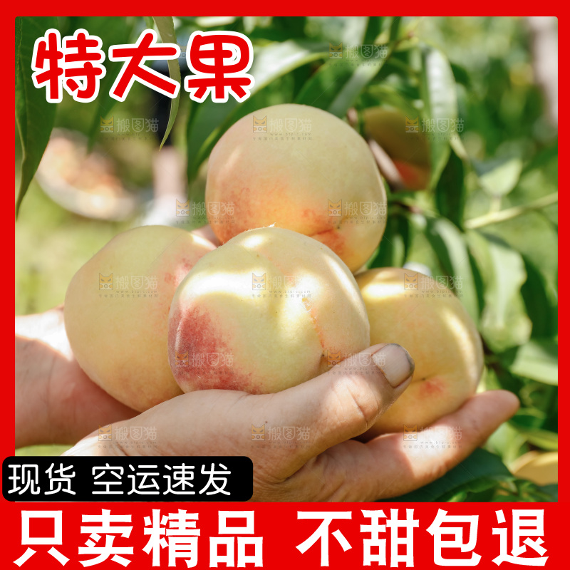 手里拿着现摘水蜜桃