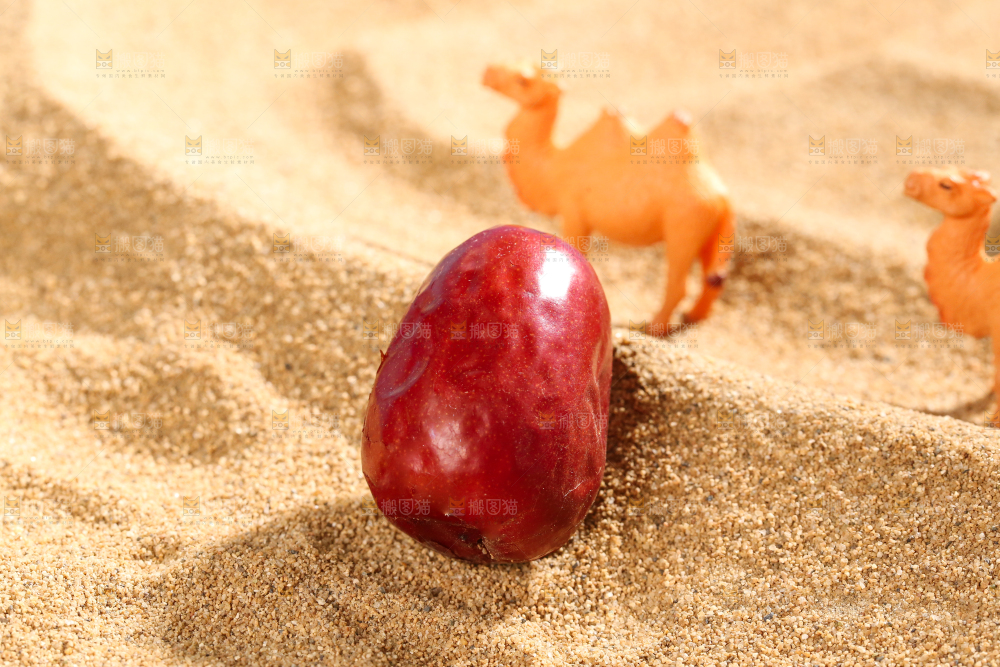 浅底上的红枣