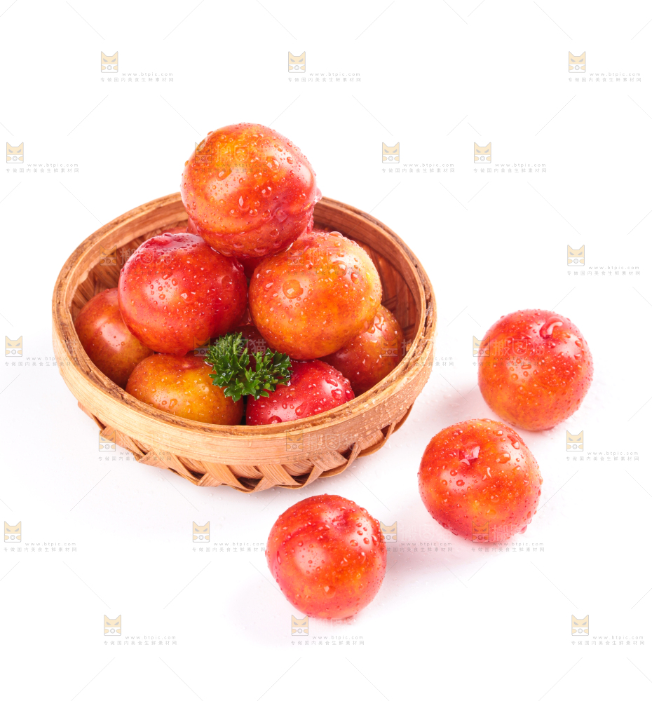 白底上的三月李