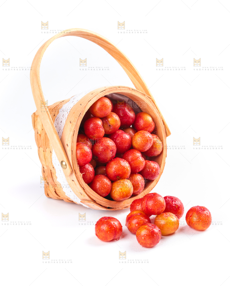 白底上的三月李
