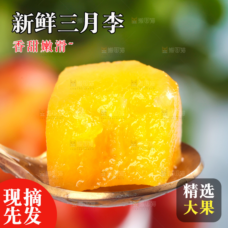 浅底上的三月李