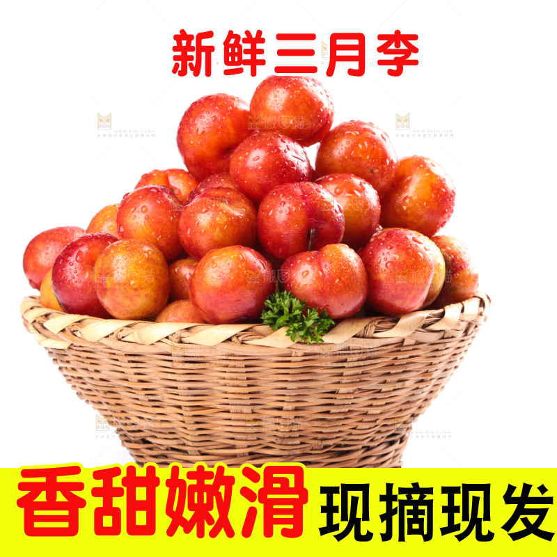 白底上的三月李