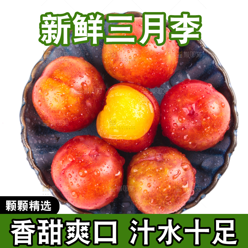 白底上的三月李