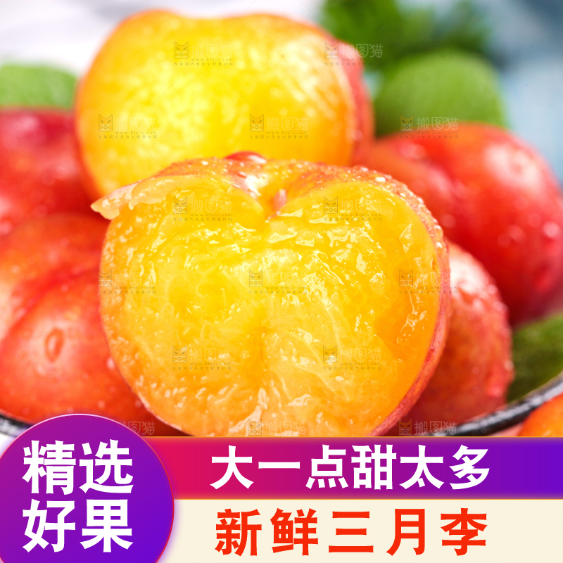 浅底上的三月李