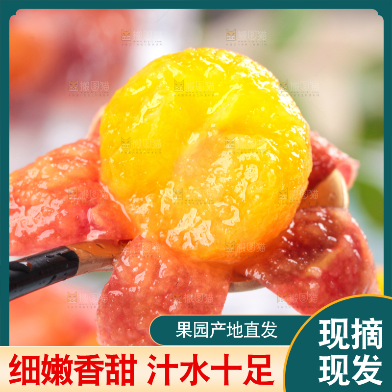 浅底上的三月李