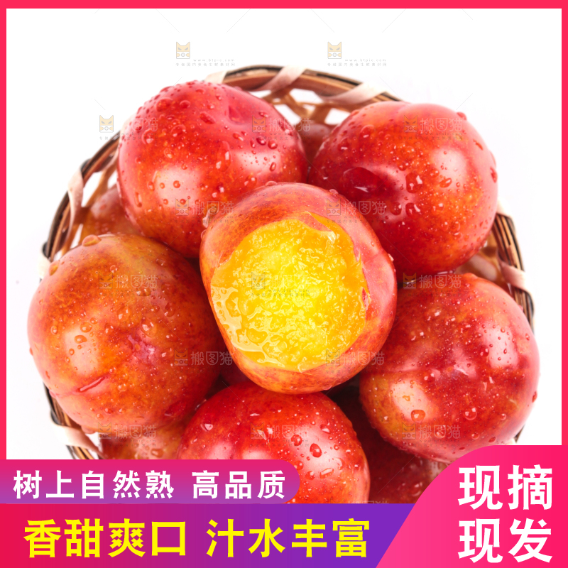 白底上的三月李