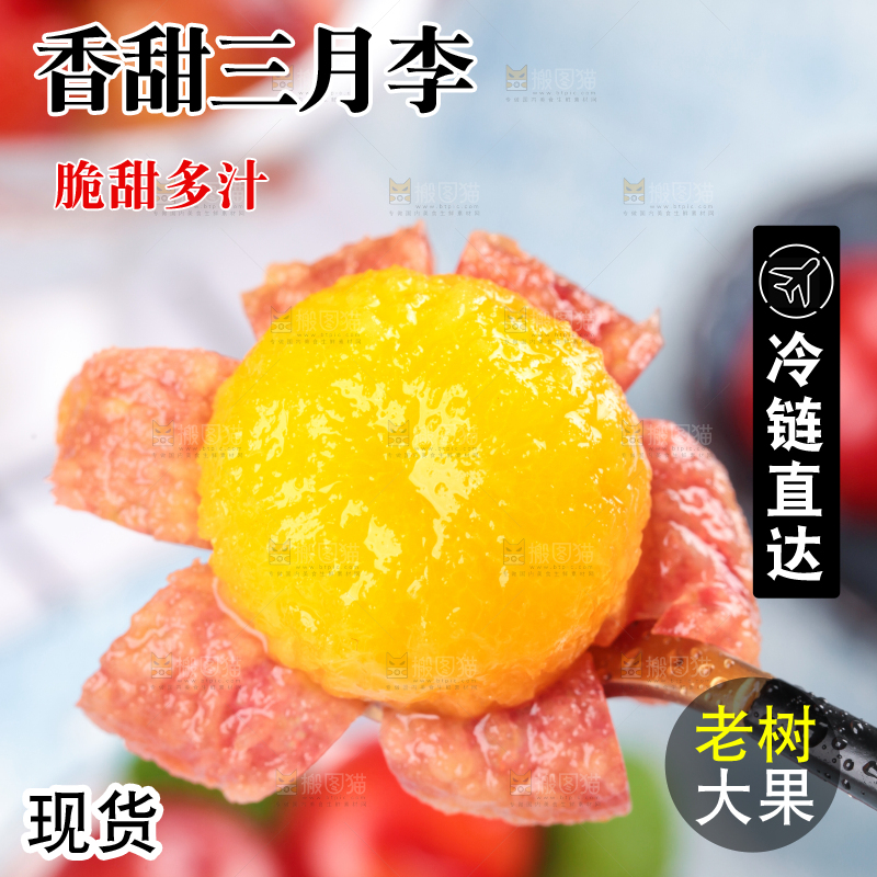 浅底上的三月李