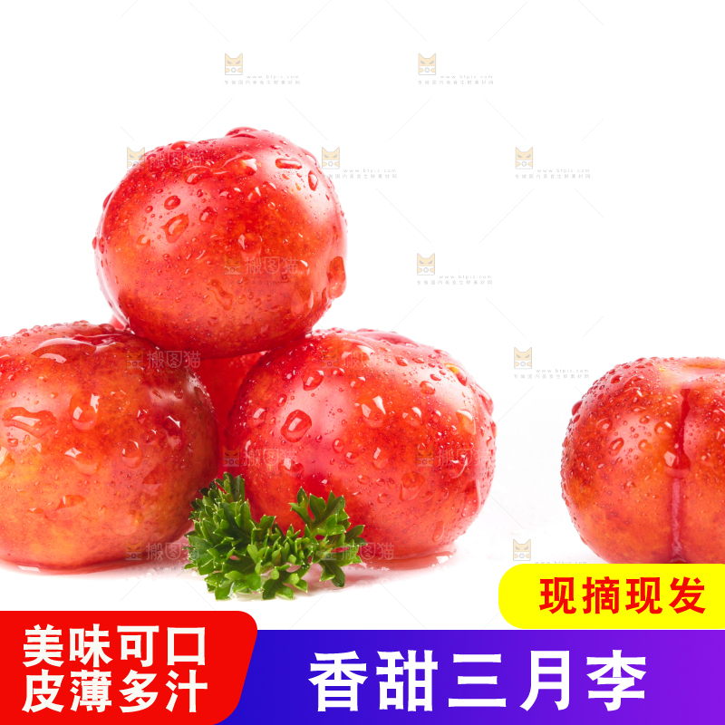 白底上的三月李
