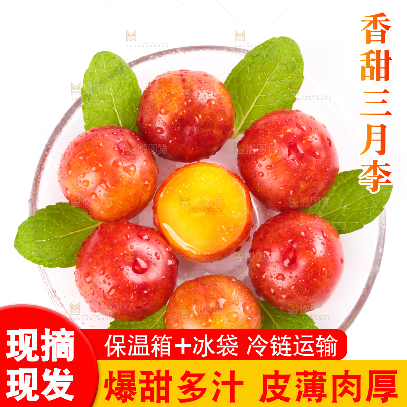 白底上的三月李