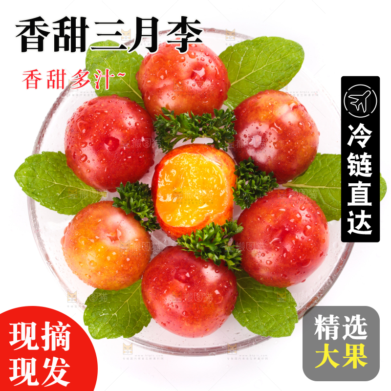 白底上的三月李