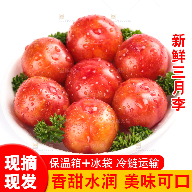 白底上的三月李