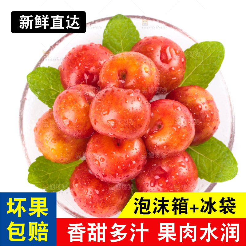 白底上的三月李