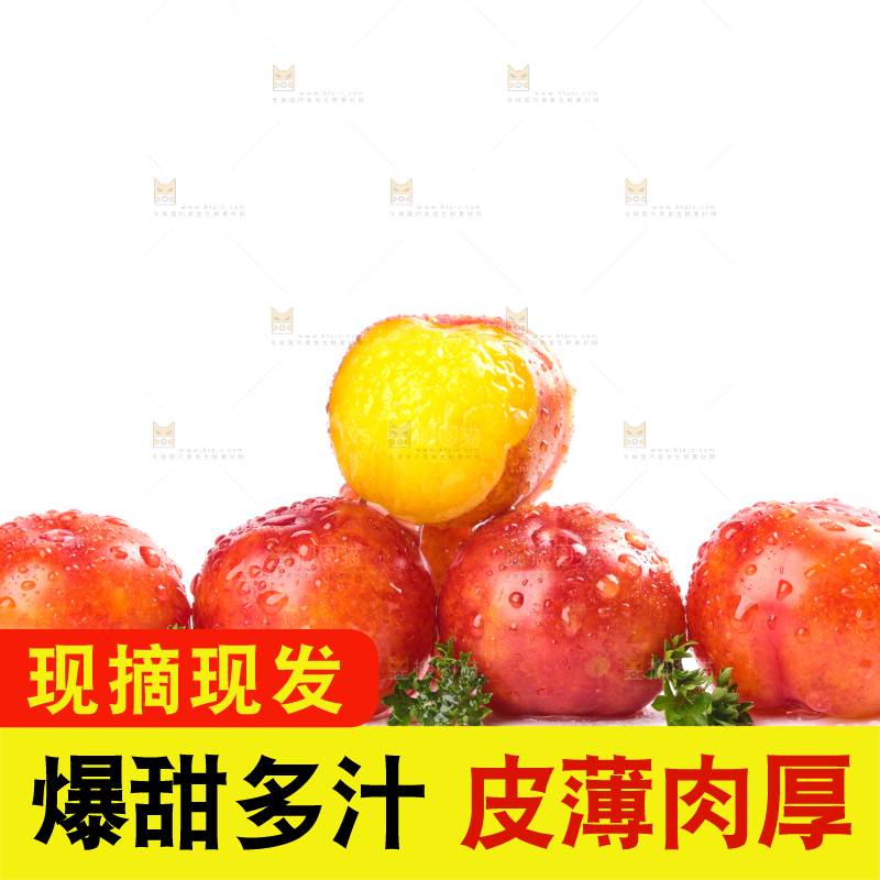 白底上的三月李