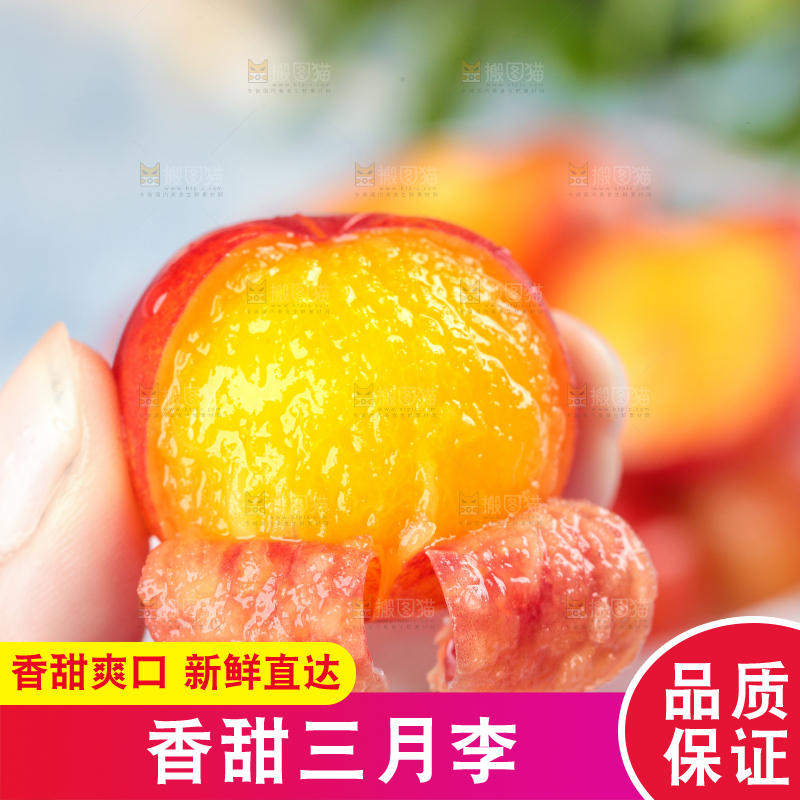 浅底上的三月李