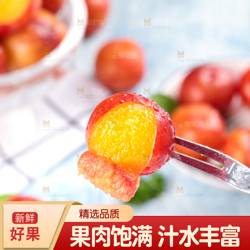 浅底上的三月李