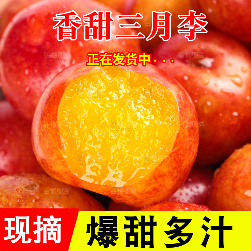 白底上的三月李