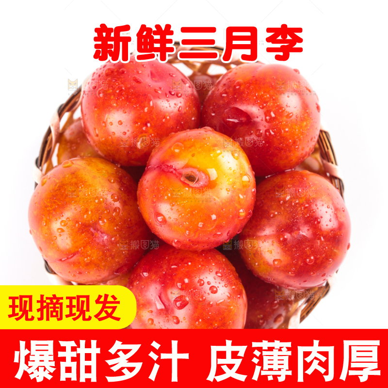 白底上的三月李