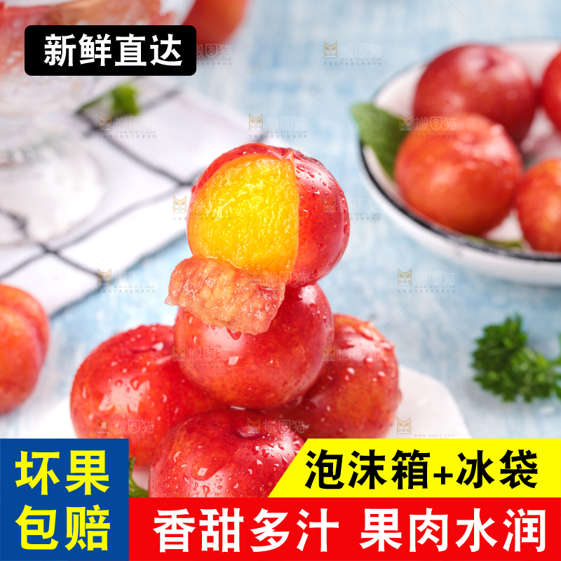 浅底上的三月李
