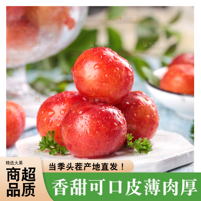 浅底上的三月李
