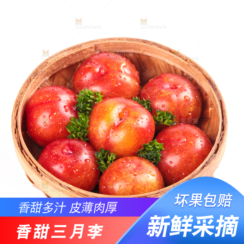 白底上的三月李