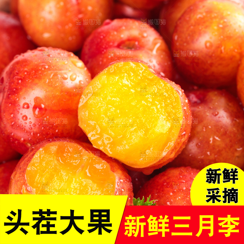 白底上的三月李