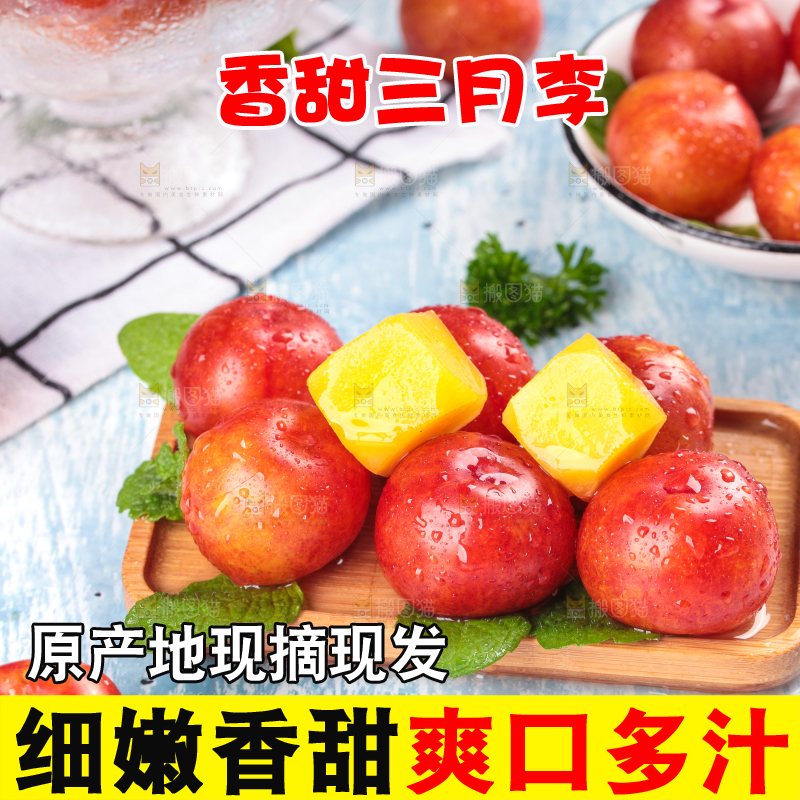 浅底上的三月李