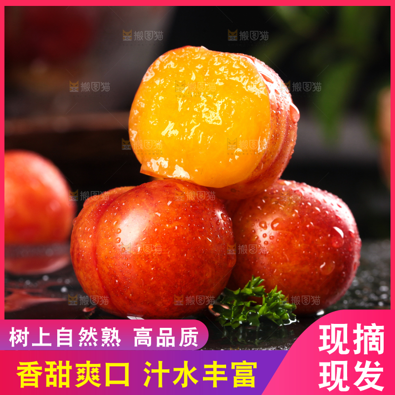 深底上的三月李
