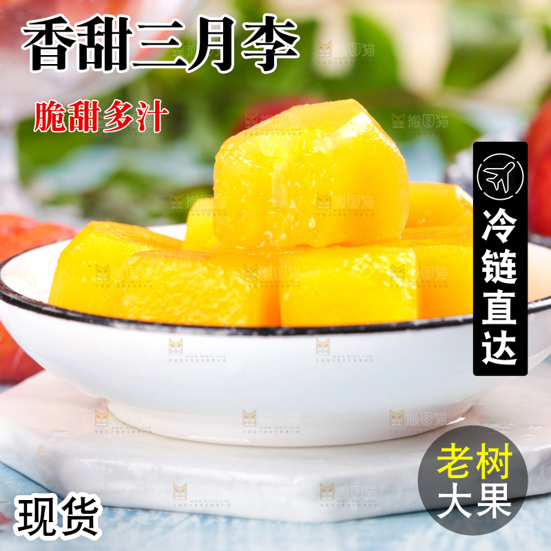 浅底上的三月李