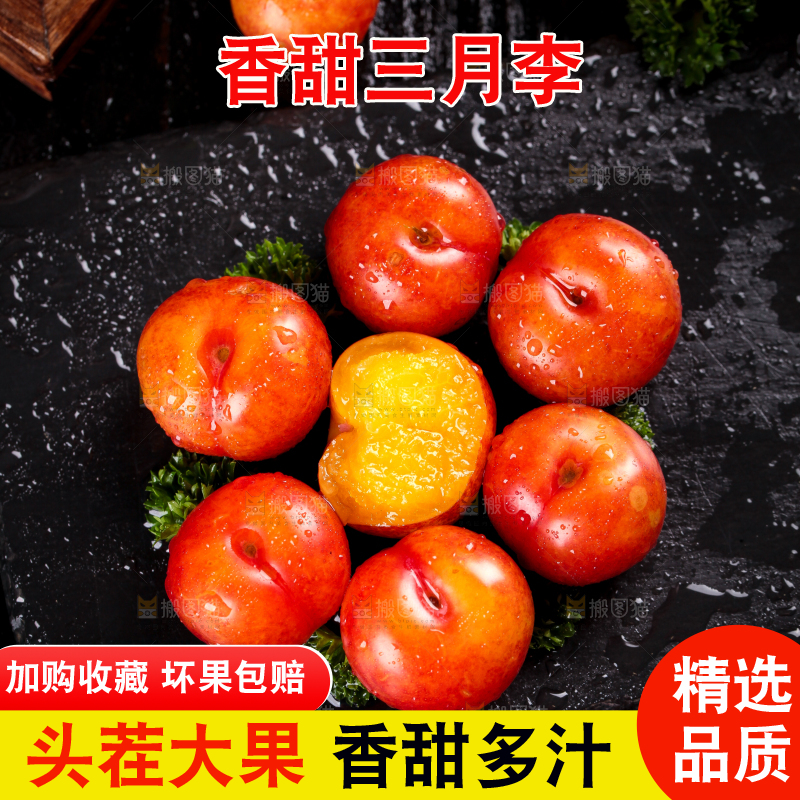 深底上的三月李