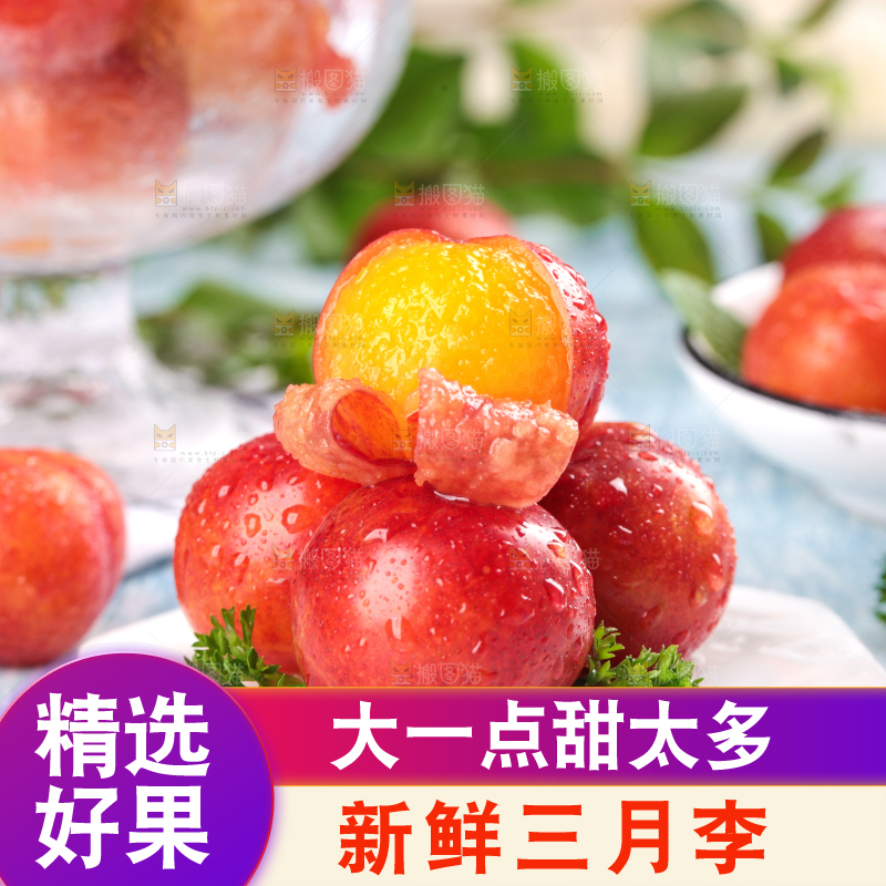 浅底上的三月李