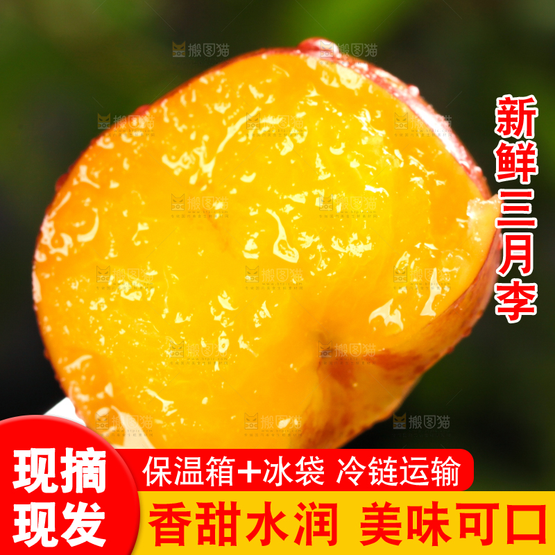 深底上的三月李
