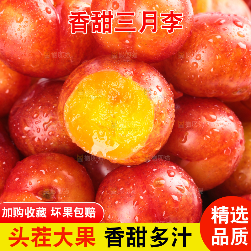 白底上的三月李