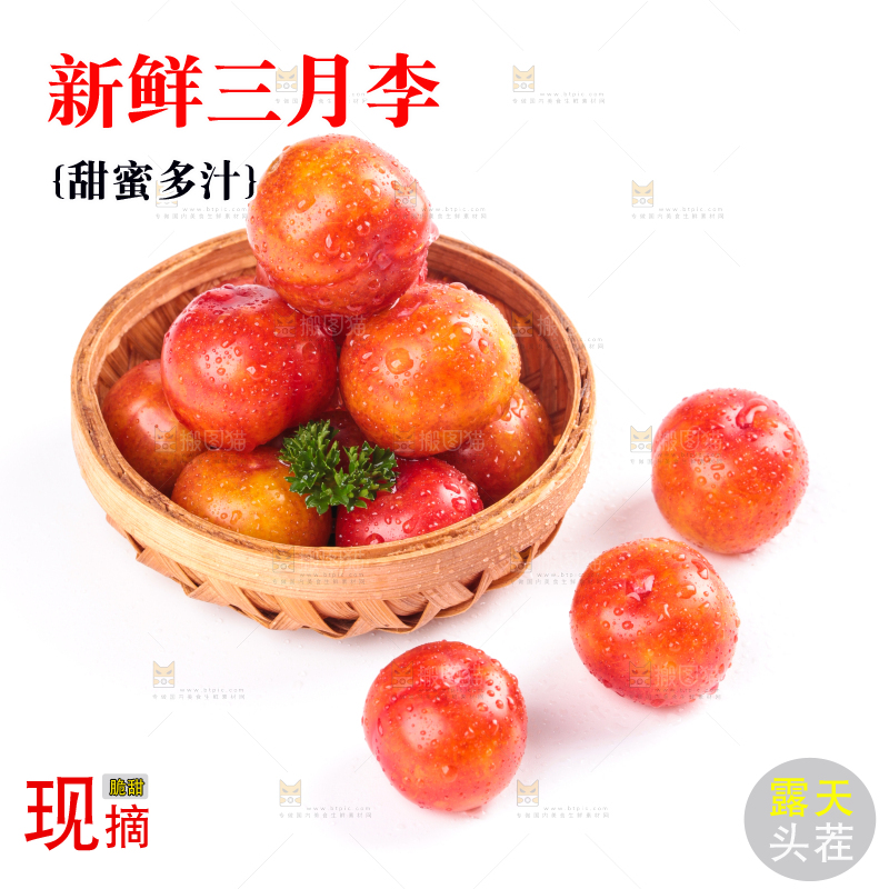 白底上的三月李