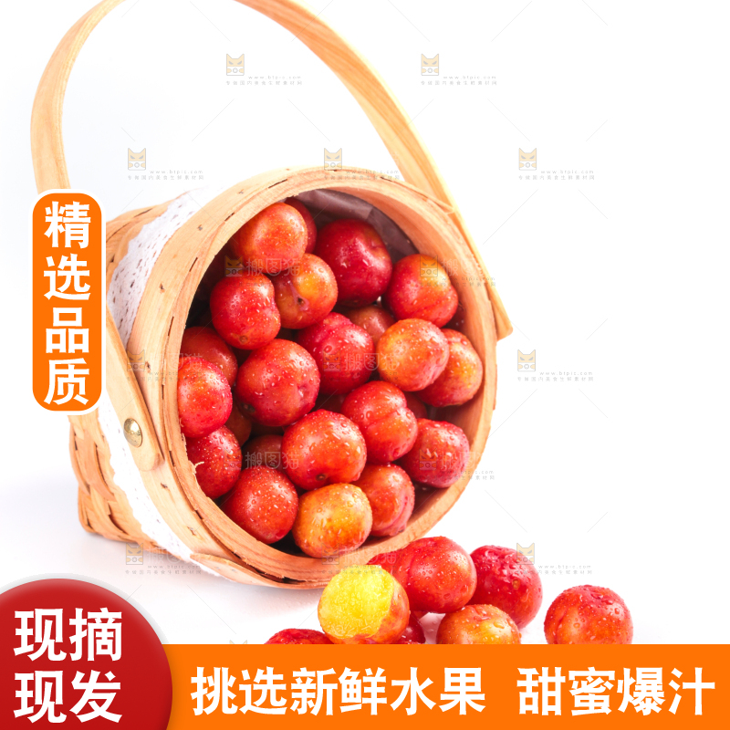 白底上的三月李