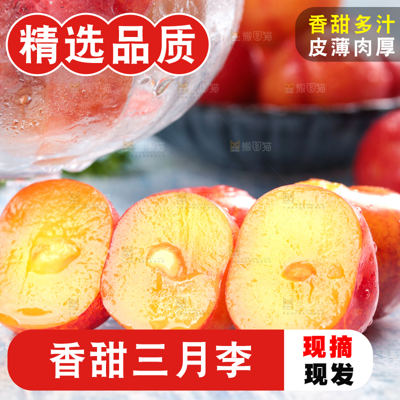 浅底上的三月李