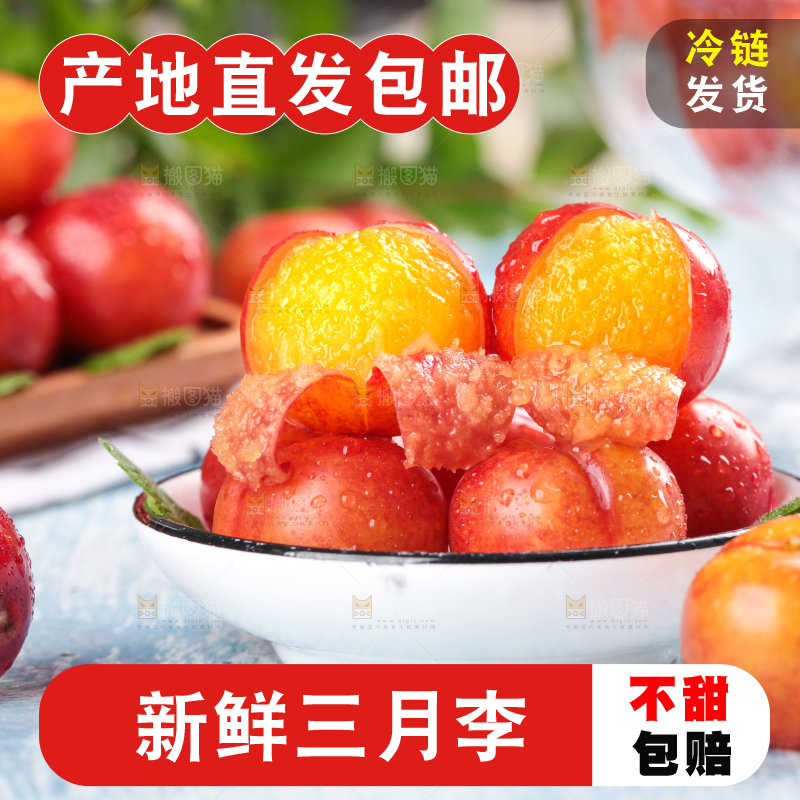 浅底上的三月李