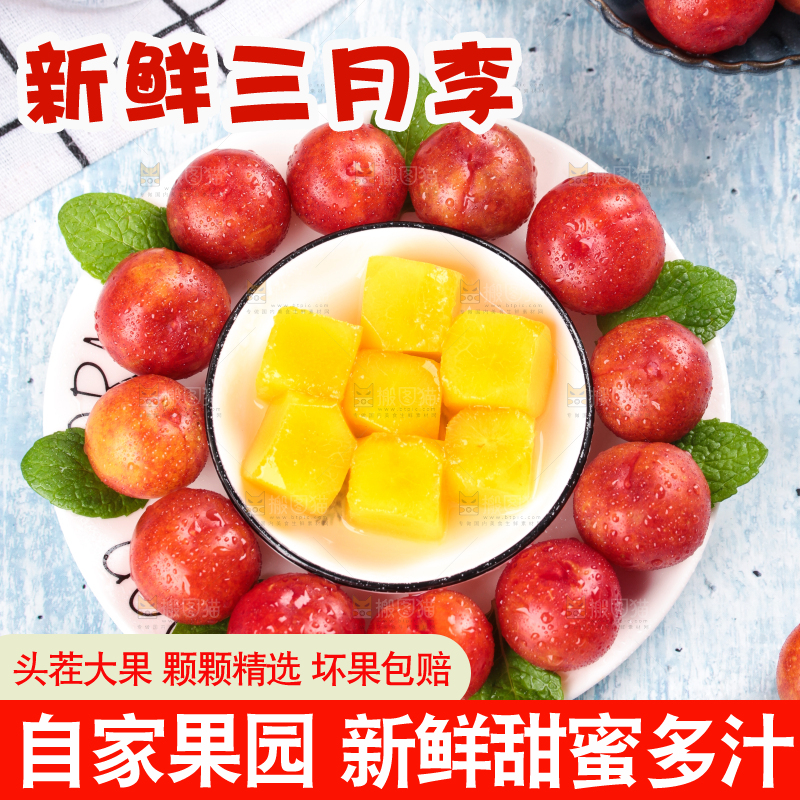 浅底上的三月李