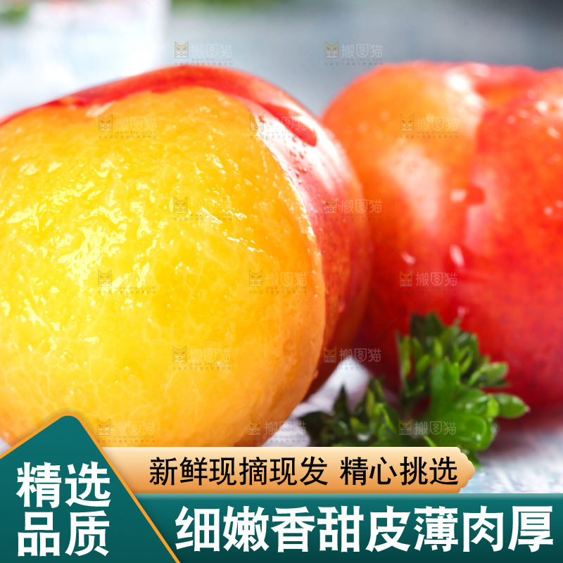 浅底上的三月李
